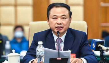 两会季丨围绕新能源工业，，，，，张天任代表提交这些建议