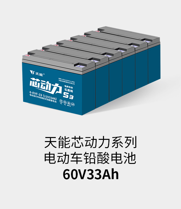 来利国际w66电池72v33ah