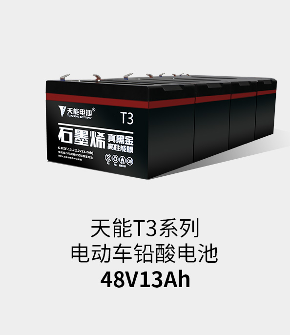 来利国际w66T3系列48v13ah