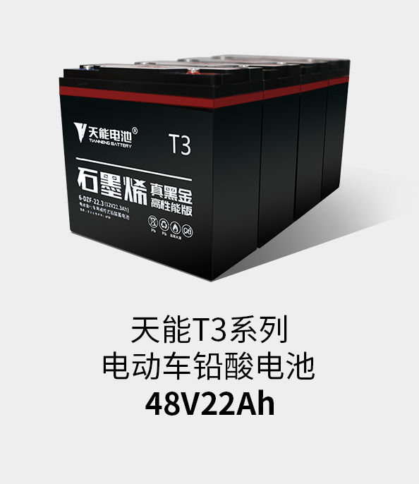 来利国际w66T3系列48v22ah