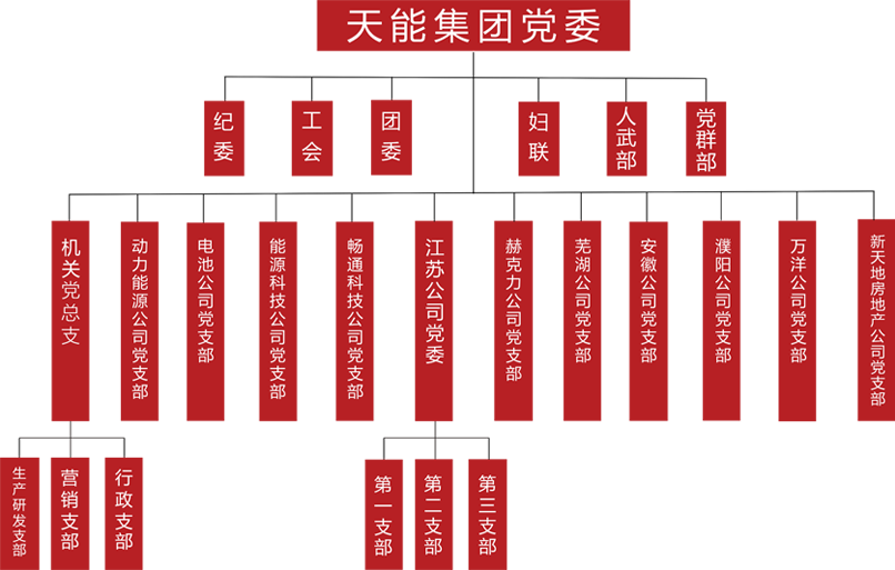 来利国际w66建团党委组织架构